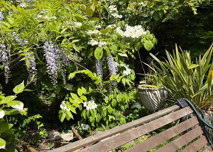 Charming Historic Apartment Adjoining Beautiful Central Taunton Park