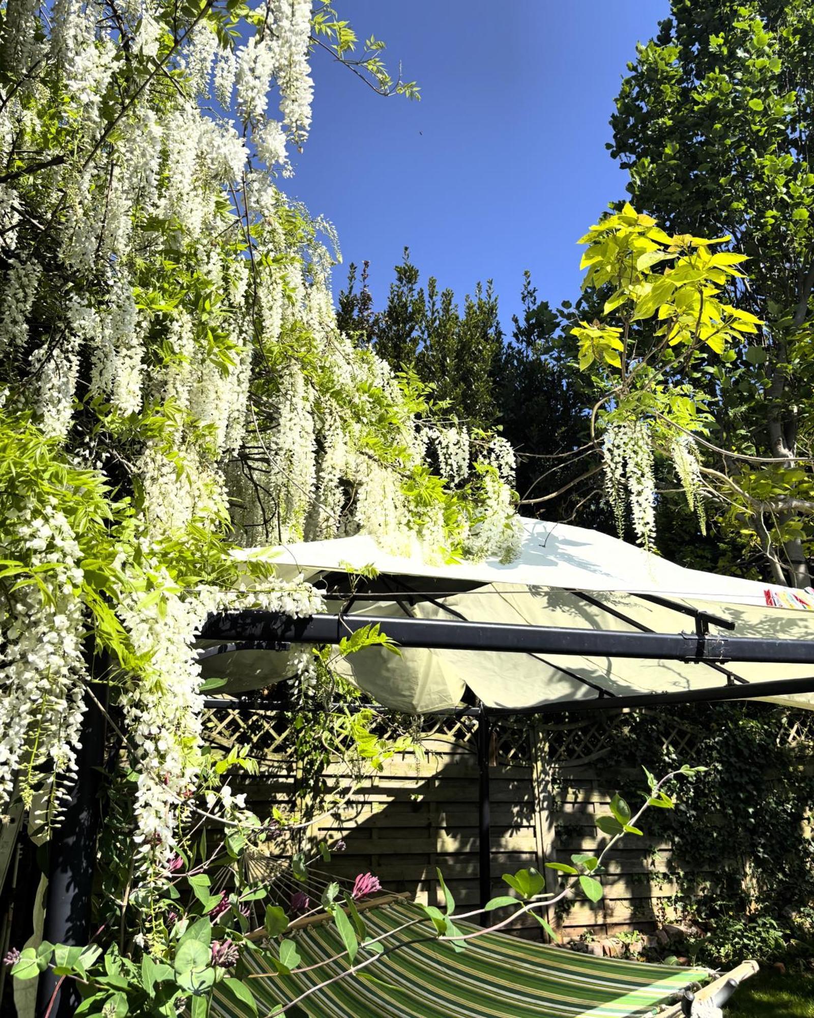 Charming Historic Adjoining Beautiful Park Appartamento *