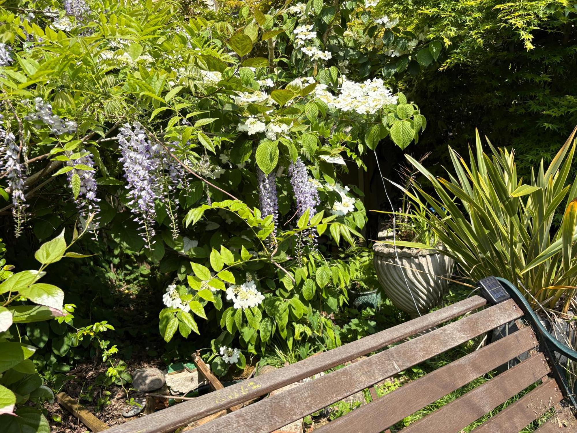 Appartamento Charming Historic Adjoining Beautiful Park Taunton